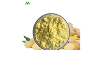 Youth Biotech Chinese Supplier Ginger Root Extract Powder1