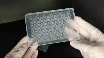0.1ml 96-Well PCR plate  Height Skirt ABI
