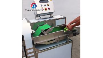 TS-Q120B Commercial Vegetable Cutting Machine