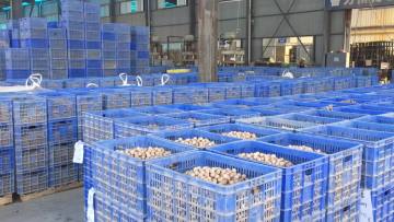 19mm 25mm 38mm 50mm 23% alumina inert ceramic ball refinery catalyst support ceramic ball1