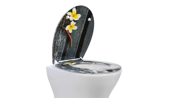 Toilet Seat UF819-40