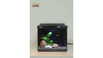 LE300 Desktop Ornamental Fish Aquarium