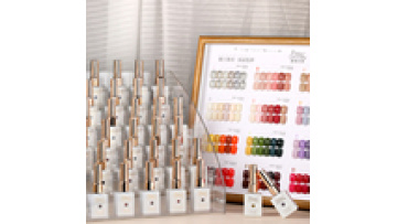 Wholesale Vegan Gel Nail Polish Set - 300 Colors UV Varnish for Nail Salons1