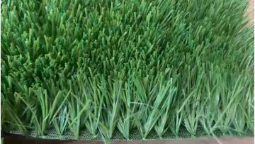 olive green light green mix soccer grass