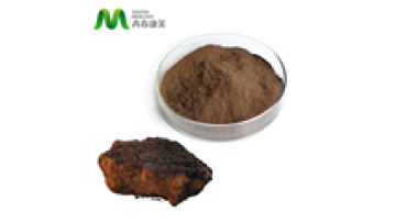 30:1 Organic Chaga Mushroom Extract Powder Polysaccharides1