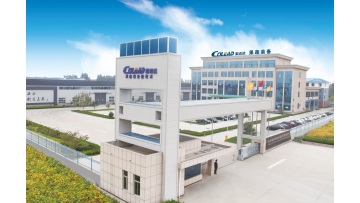 Vegetable Processing Equipment Manufacturer Colead