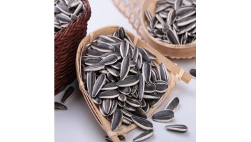 601 sunflower seeds