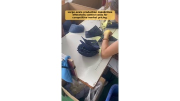 Video 56