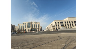 GUANGDE LVSONG NEW FACTORY