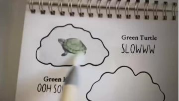 Water Transparent Ink