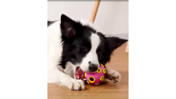 BALL VIDEO KPT-R10