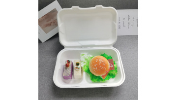 Eco-friendly Sugarcane Disposable 9x6 inch 2-com Clamshell