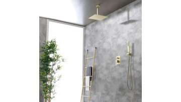 88005BG SHOWER SET 