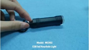 2020 New Year Promotional Gift Micro Light COB LED Keychain Flashlight Carabiner For Camping1