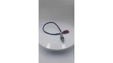 Oxygen Sensor