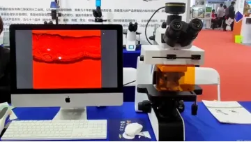 Brs1000 Series Biological Research Microscope for Laboratory Microscopes1