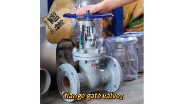 Cast Steel Gate Valve