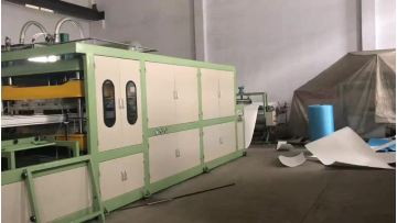 GPPS Fully Automatic Food Box Production Line