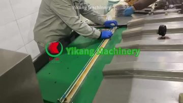 Continuous Belt Type Vacuum Packaging Machine