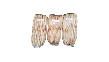 How to bag processed tuna loin in high barrier 