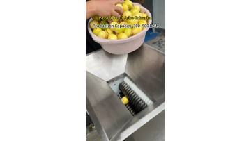 Passion Fruit Juice Extractor