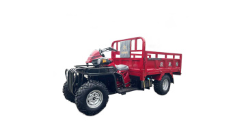 Beach off-road motor tricycle