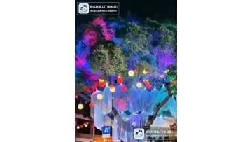 Colorful decorative led lights