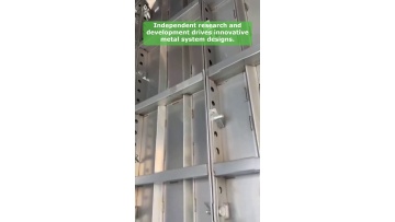 Video 24