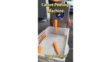 CarrotPeelingMachine