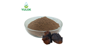 Wholesale Polysaccharide Chaga Mushroom Extract & Natural Chaga Mushroom Powder - 30% Polysaccharide Content1