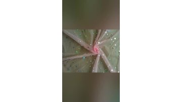 77a70e0705e7ca0232f16cea19b9a593