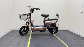 Cheap Electric Scooter Motorcycle Adult Electric Bicycle With Best Price1