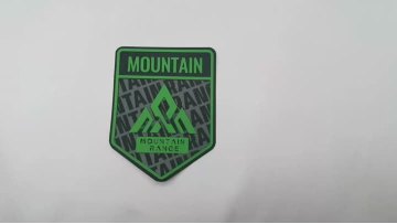 Dye sublimation layer with silicone print