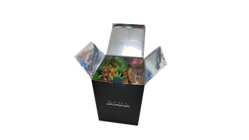 Foil thermal box