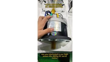 48V 4000W DC SERVO MOTOR