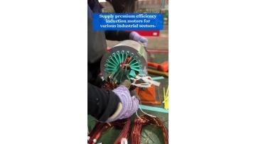 Video 3