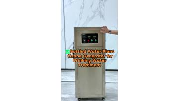 Bottled Water Plant Ozone Generator for Drinking Water Treatment – 100g/200g Series