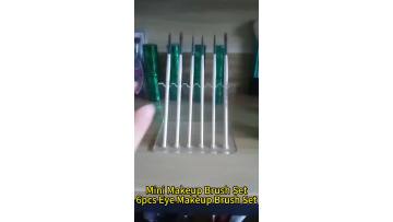6pcs Eye Makup Brush Mini Set