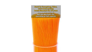 40-Year Guangdong Brush Filament Maker