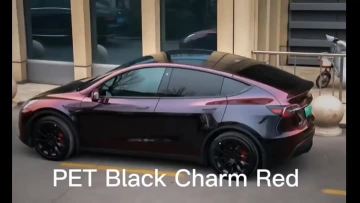 PET black charm red