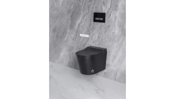 smart toilet hp2033video