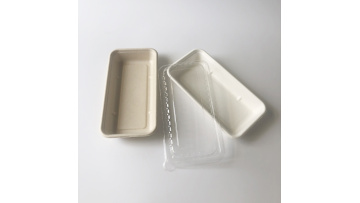 Bagasse rectangular tray