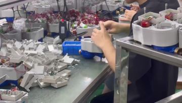 linshui product video12
