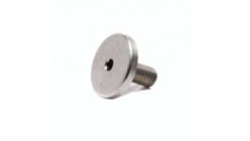 Big Flat Head Machine Screw Large Flat Head Tapping Screw1