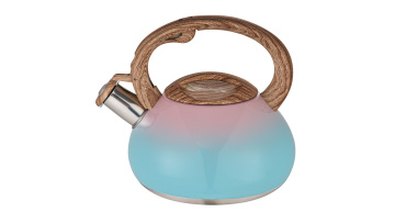 stainless steel stovetop tea kettle