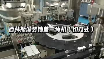 Fully automatic double-head filling and capping integrated machine