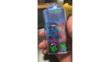 Randm Leopard 40000 Puffs