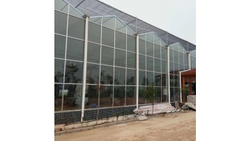 Venlo Glass Greenhouse