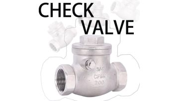 Swing Check Valve