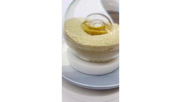 Probiotic Spheres